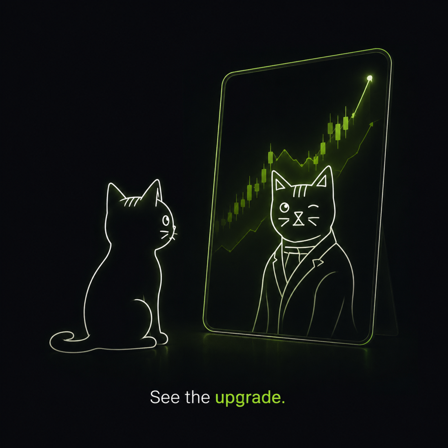 Winkcat sees the upgrade in the mirror